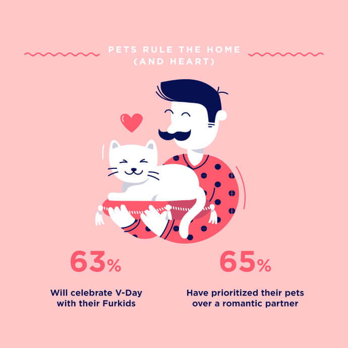 Petcube: стратегия эмоционального брендинга домашних животных Petcube: стратегия эмоционального брендинга домашних животных