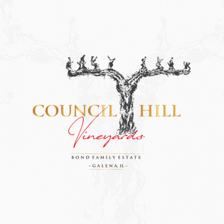 Логотип компании Council Hill Vineyards. Работа с клиентом Логотип компании Council Hill Vineyards. Вопросы о логотипе