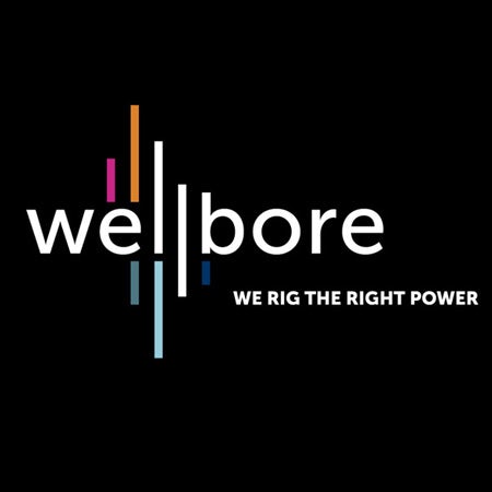 Логотип Wellbore с логотипом Museo 1 Логотип Wellbore с логотипом Museo