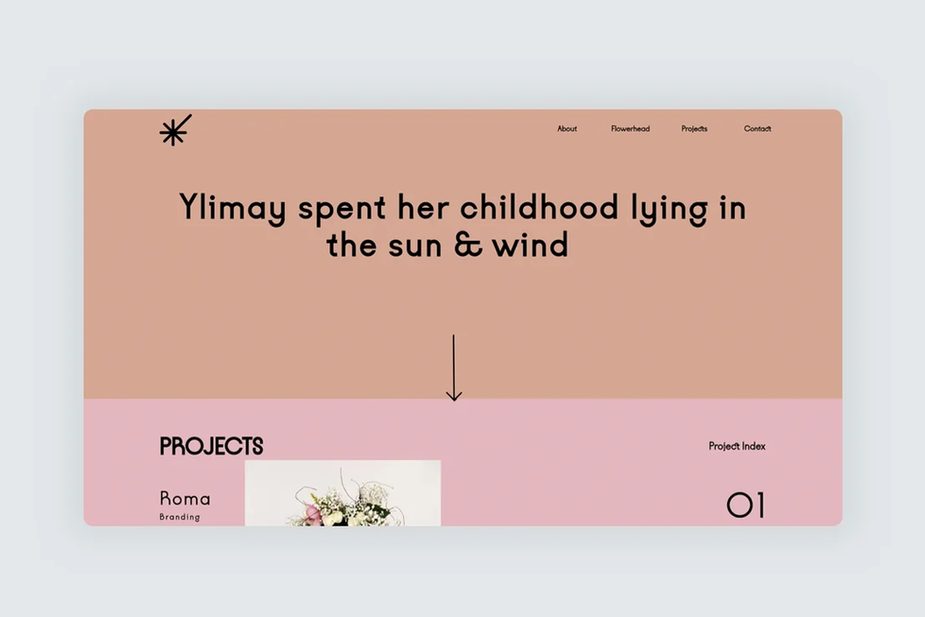 Сайт-портфолио графического дизайна Ylimay Zavala Ylimay Zavala