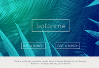 Botanme Идеи веб - дизайна 1 Botanme Идеи веб - дизайна