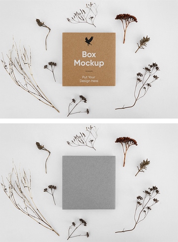 Маленькая коробка PSD Mockup
