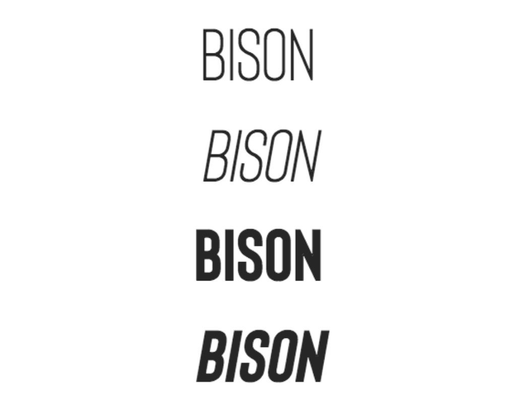Bison/ Шрифты для книги Bison/ Шрифты для книги
