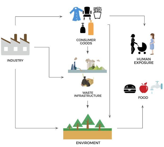 экспозиция pfas экспозиция pfas