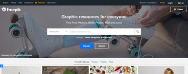 FreePik 11 FreePik