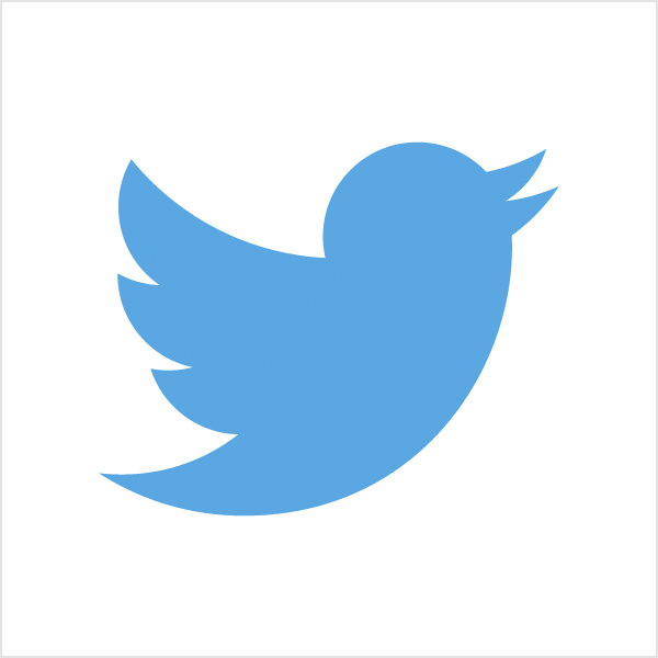 Логотип графического знака Twitter 1 Логотип графического знака Twitter Типы логотипов